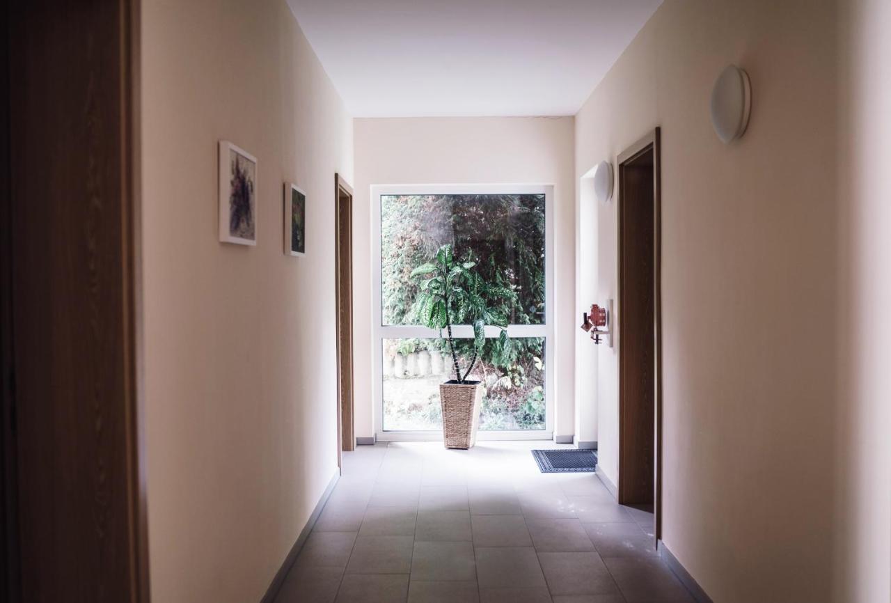 Hotel - Pension Vesta Bad Elster Dış mekan fotoğraf