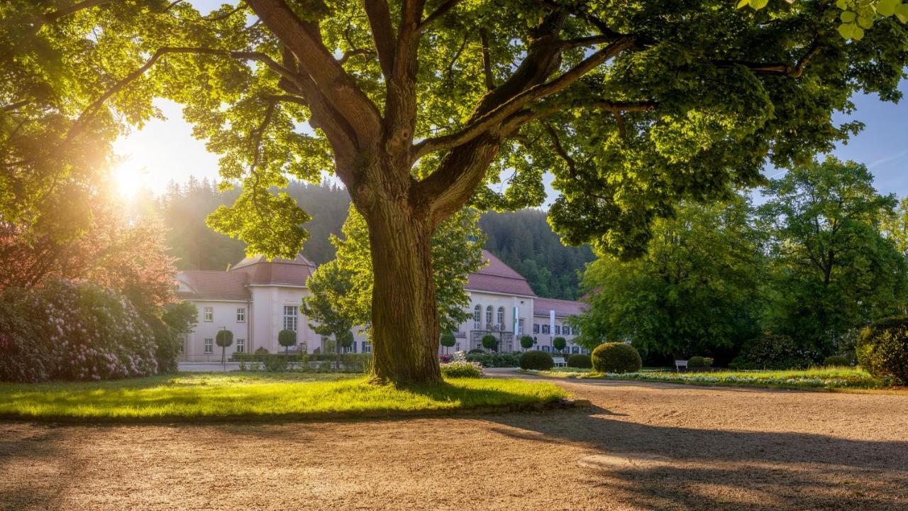 Hotel - Pension Vesta Bad Elster Dış mekan fotoğraf
