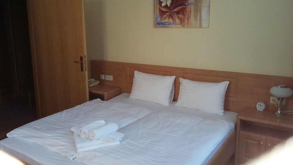 Hotel - Pension Vesta Bad Elster Dış mekan fotoğraf